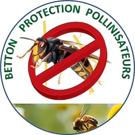 badge frelon Image