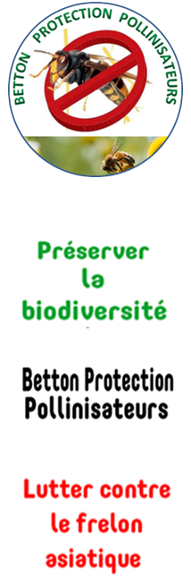 flamme frelon Image