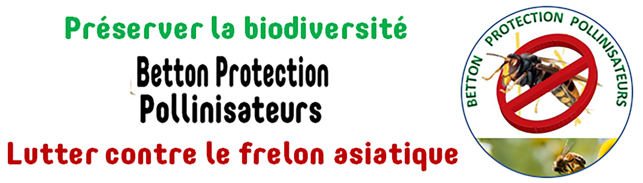 banderolle frelon Image