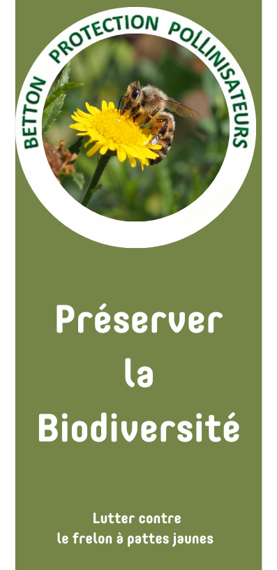 flamme pollinisateur Image