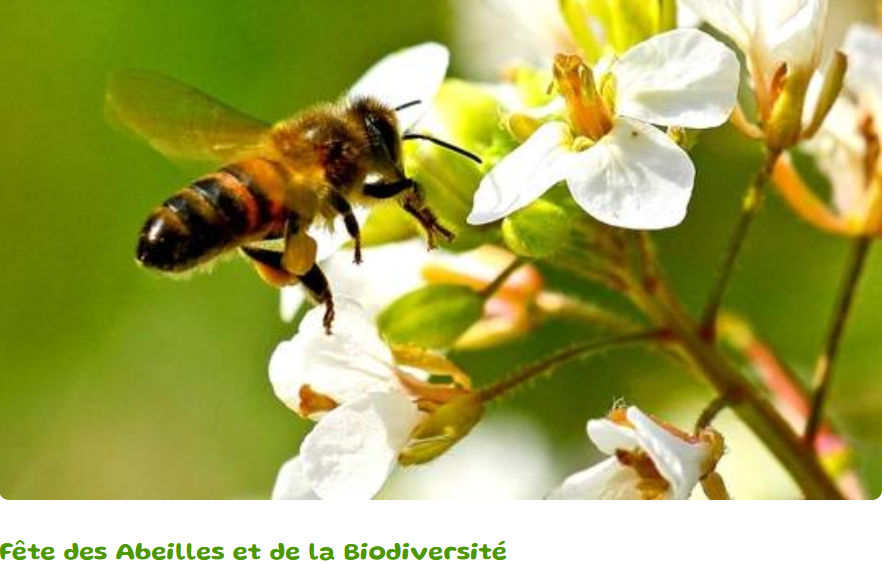 Fête des abeilles et de la biodiversité Label ApiCité