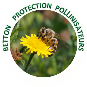 badge pollinisateur Image